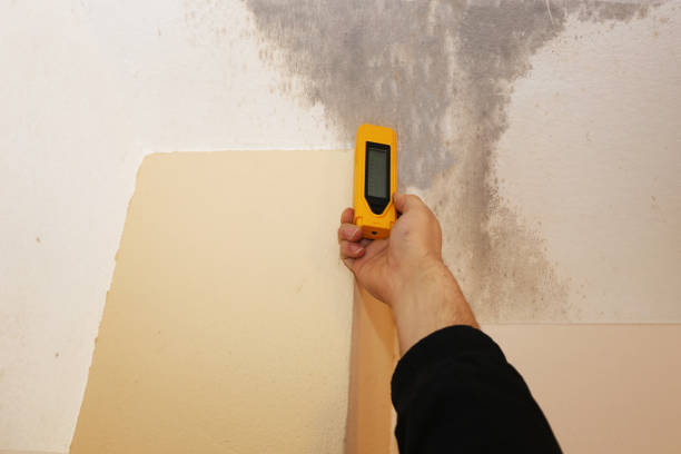 Best Comprehensive Air Testing for Mold Contaminants  in Raton, NM
