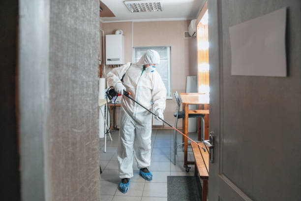 Best Airborne Mold Testing  in Raton, NM