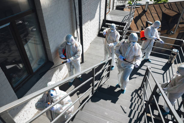 Best Mold Removal for HVAC Installations  in Raton, NM