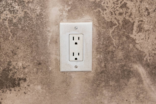 Mold Remediation for Vacation Homes in Raton, NM