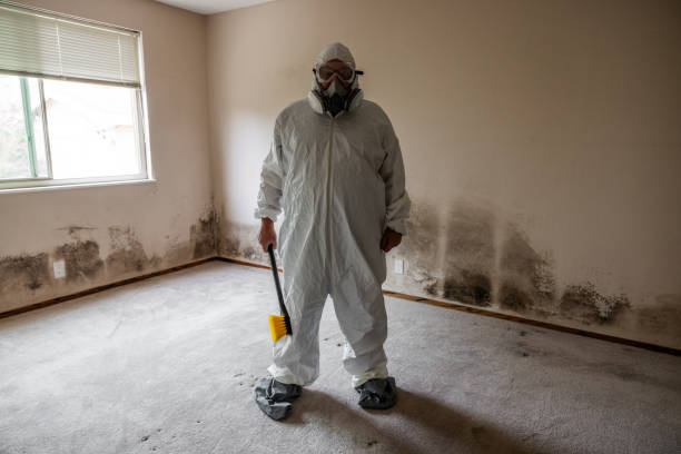 Mold Removal for HVAC Installations in Raton, NM