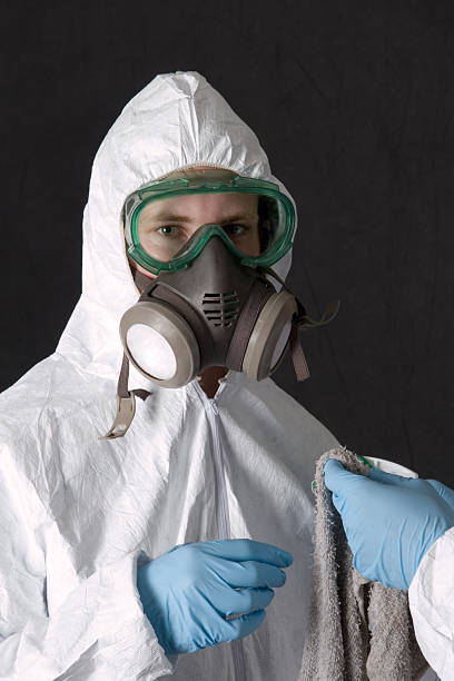 Best Mold Remediation for Healthcare Facilities  in Raton, NM